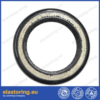 High pressure oil seal 28,56x42x5,5 NS01W NBR [BAHD]